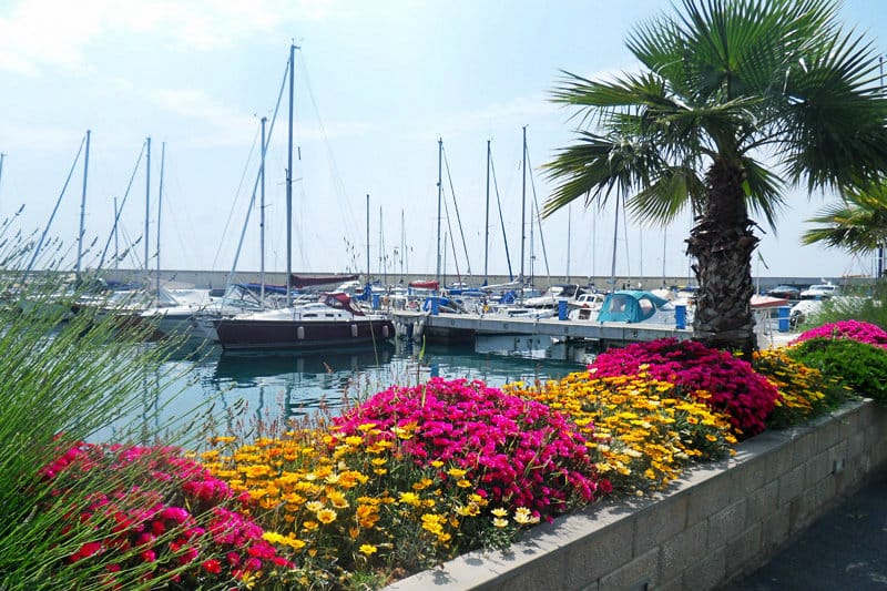 Colorful flowers next to a port of San Lorenzo al Mare