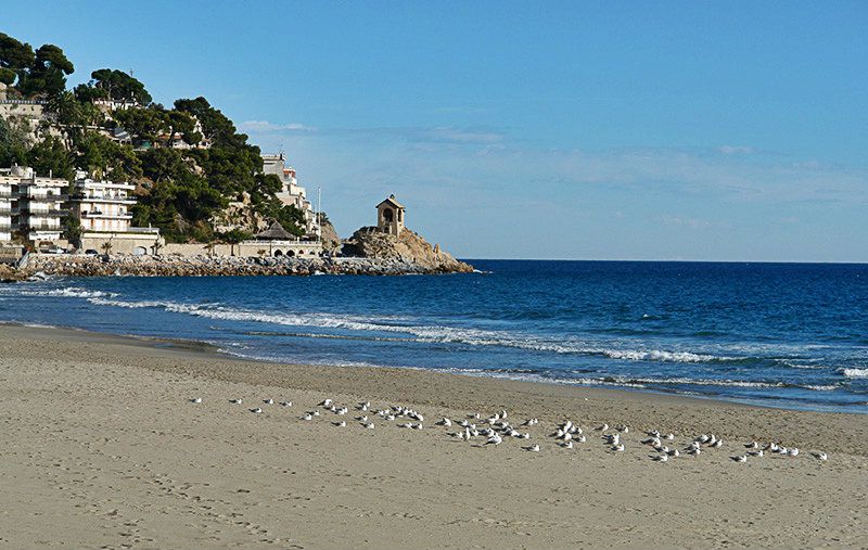 Sandy beach of Alassio