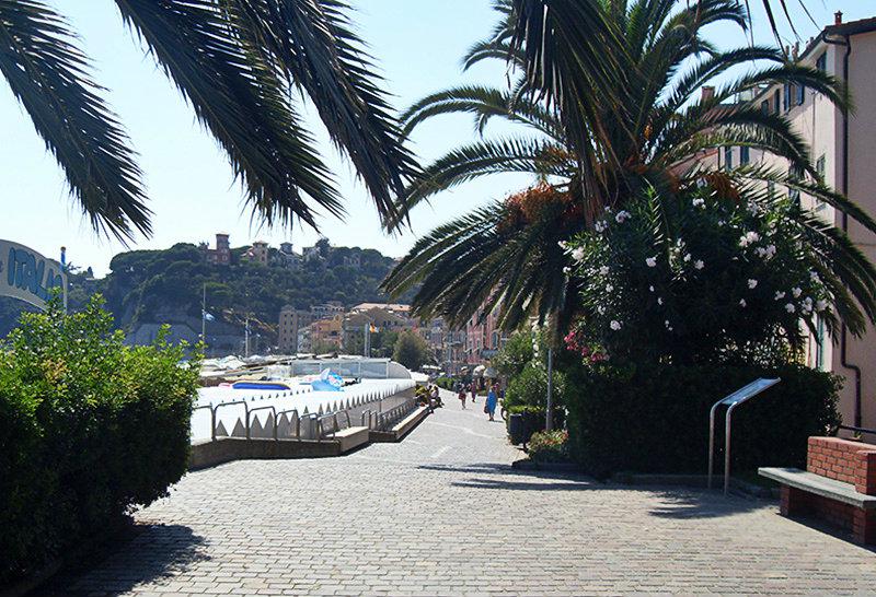 A street with flowers and palm trees along the coast in Varazze