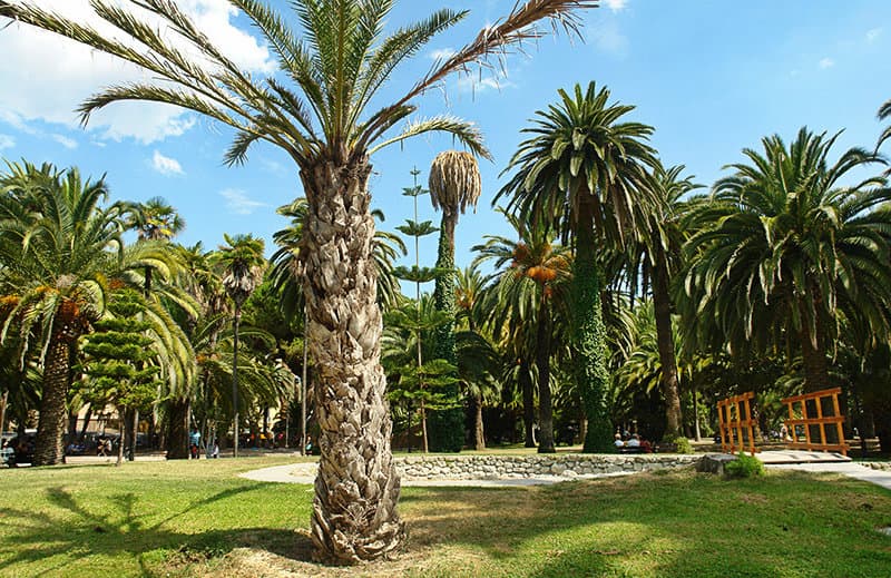 A park with palm trees in the town center of Ventimiglia
