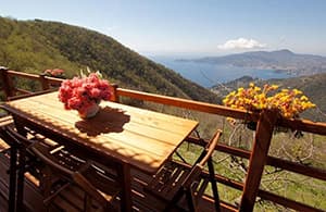 Holiday home with a dog and for the whole family in a quiet location in Liguria