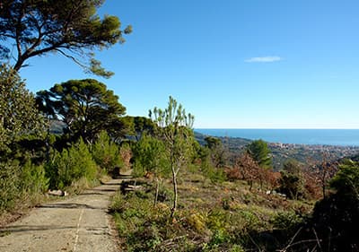 View of amazing ligurian Nature of hikers perspective